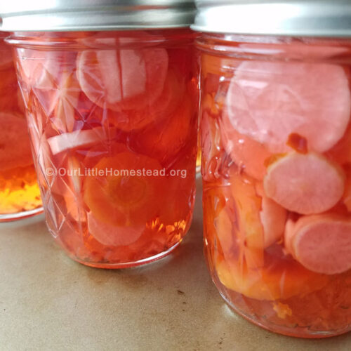 radish and carrots canning recipe