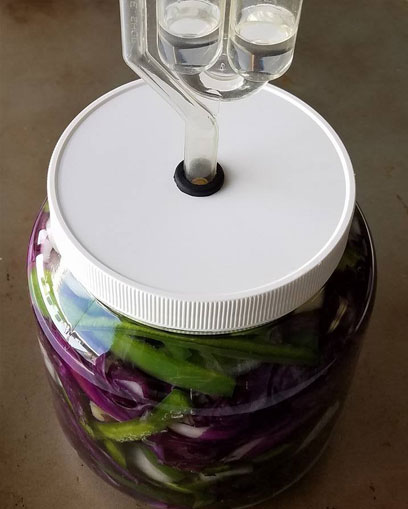 fermenting jar