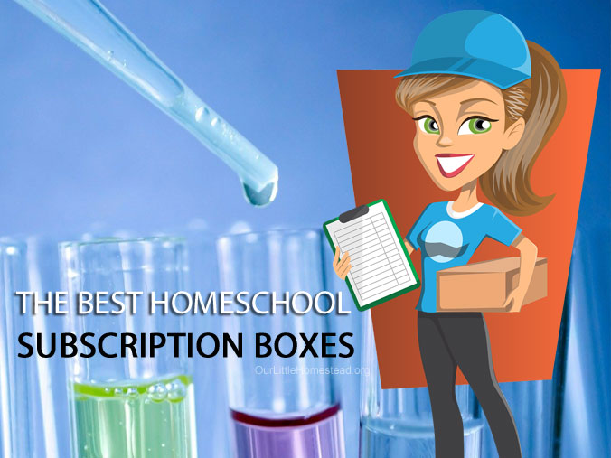 Best Homeschool Subscription Boxes 2020 Our Little Homestead