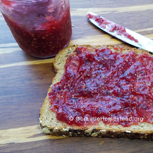 jalapeno pepper fig jam recipe
