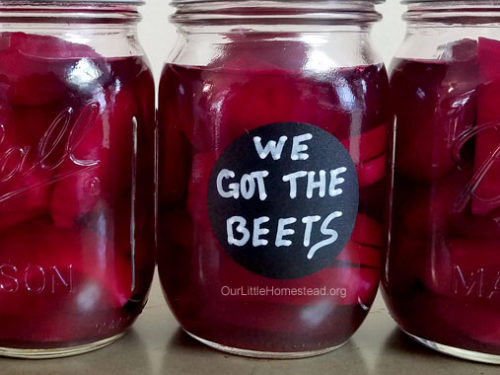 Pressure Canning Beets